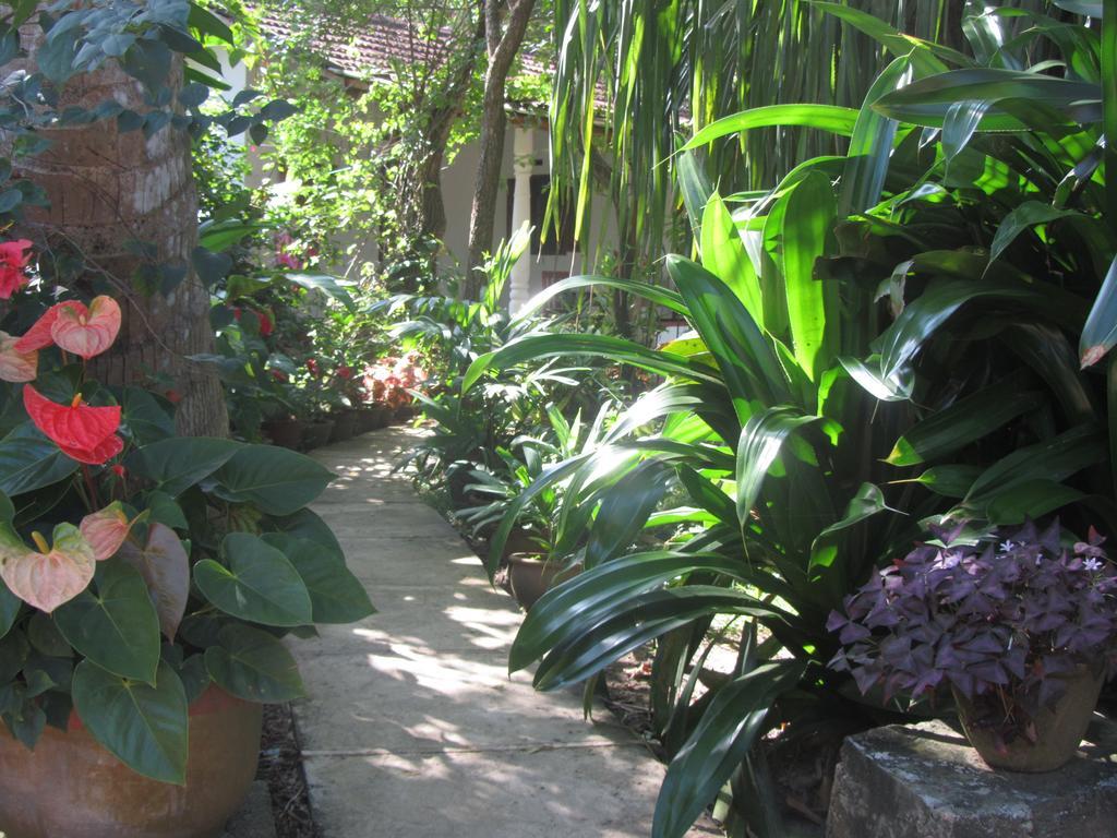 Hotel Peacock Land à Tangalle Extérieur photo